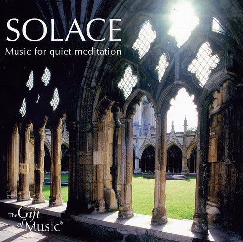 the album cover for David Skinner - Solace