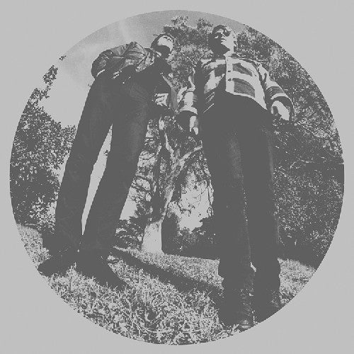 Ty Segall - Hair [LP] Vinyl Record