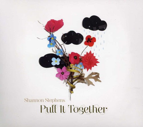 Stephens,shannon - Put It Together - Music CD