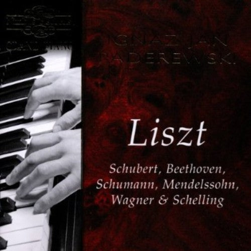 the album cover for Ignaz Jan Paderewski - Ignaz Jan Paderewski Performs Liszt