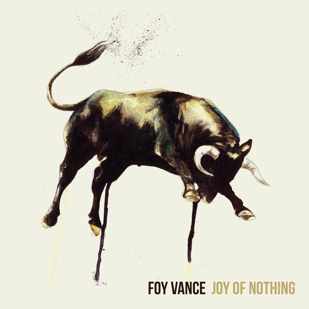 the album cover for Foy Vance - Joy of Nothing
