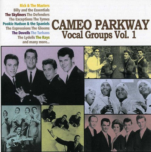 Remember Me Baby: Cameo Parkway Vocal 1 / Var - Remember Me Baby: Cameo Parkway Vocal 1 / Var - Music CD