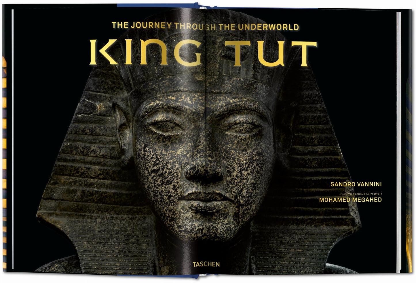 King Tut. The Journey through the Underworld (English) Book