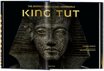 King Tut. The Journey through the Underworld (English) Book