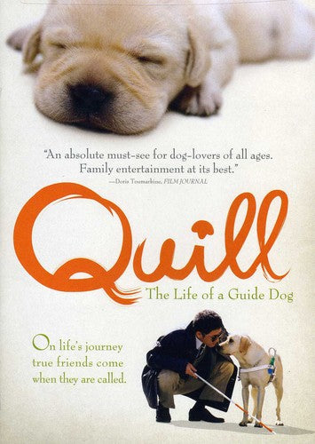 Quill - Quill - DVD