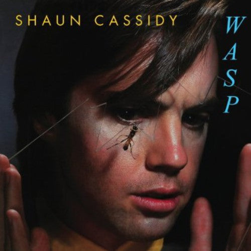the album cover for Shaun Cassidy - Wasp [Import]