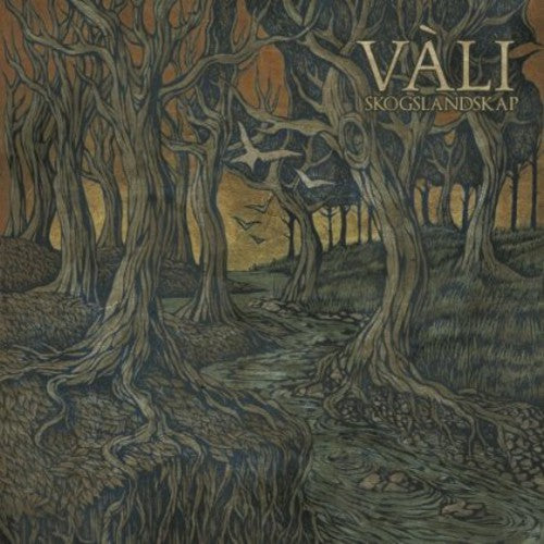 Vali - Skogslandskap - Music CD