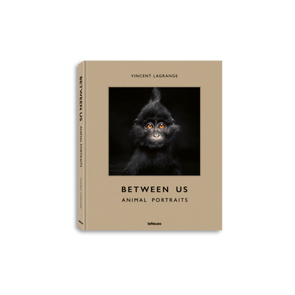 Between Us Book