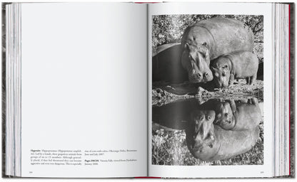 Sebastião Salgado. Genesis. 45th Ed. (English) Book