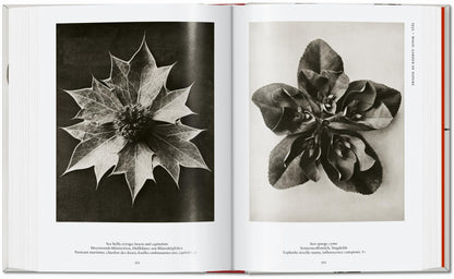 Karl Blossfeldt. The Complete Published Work. 45th Ed. (German, French, English) Book
