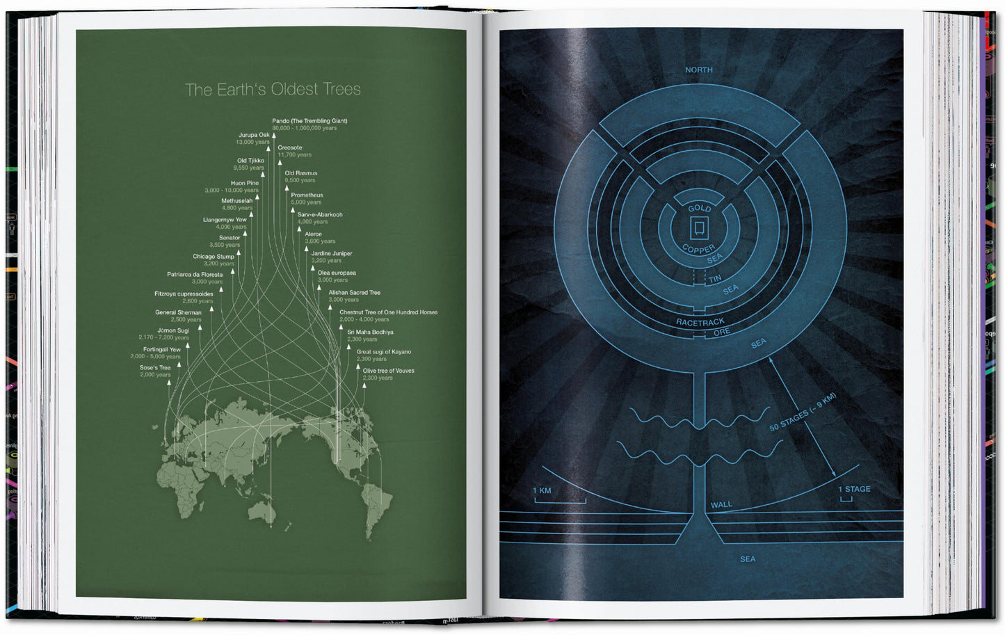 Information Graphics. 45th Ed. (English) Book