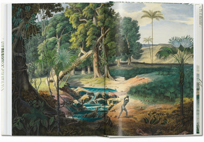 Martius. The Book of Palms. 45th Ed. (German, French, English) Book
