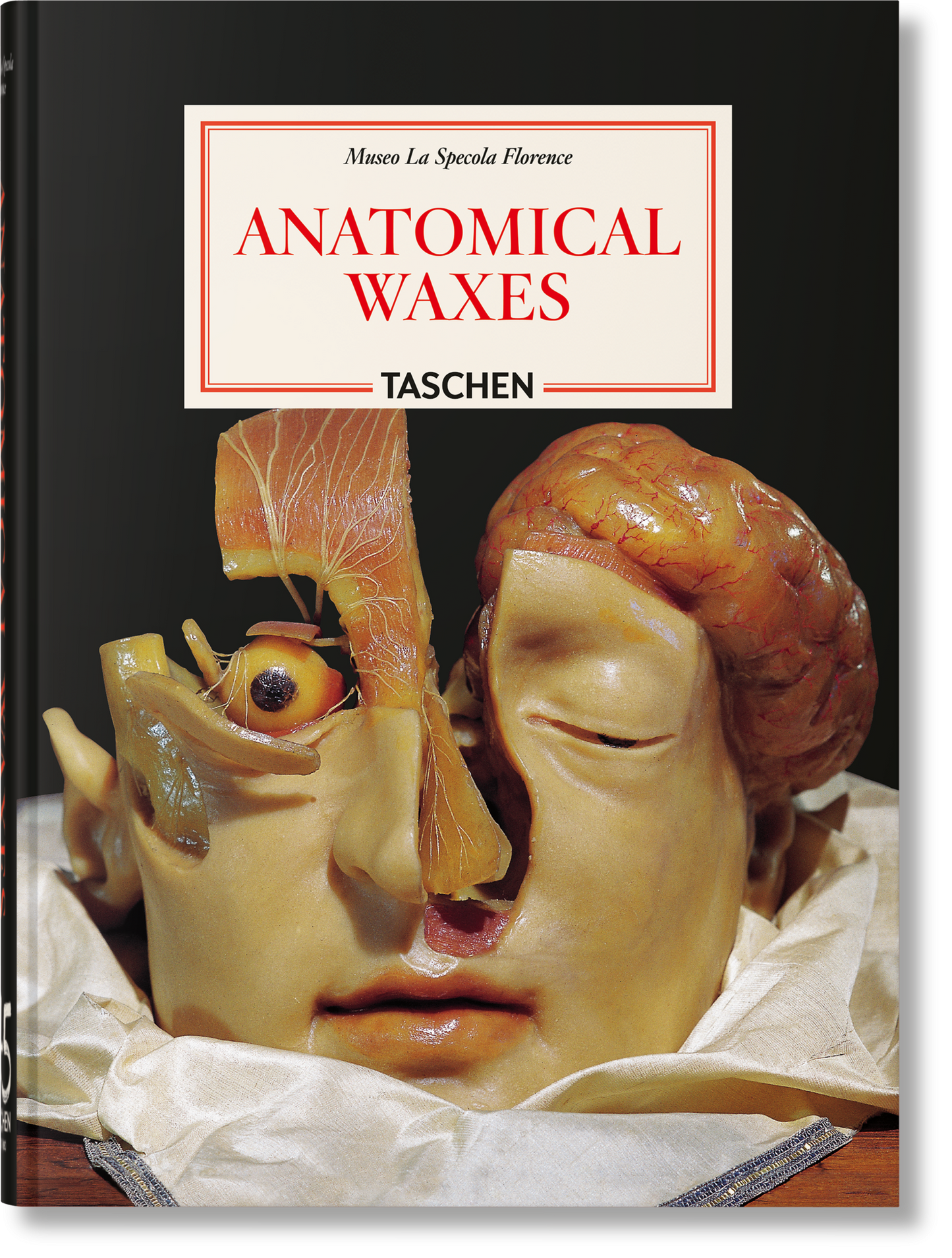 Anatomical Waxes. 45th Ed. (German, French, English) Book
