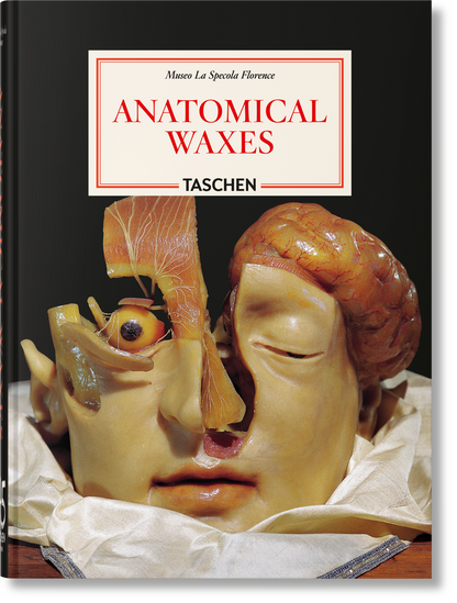 Anatomical Waxes. 45th Ed. (German, French, English) Book