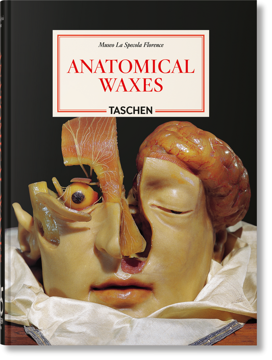 Anatomical Waxes. 45th Ed. (German, French, English) Book