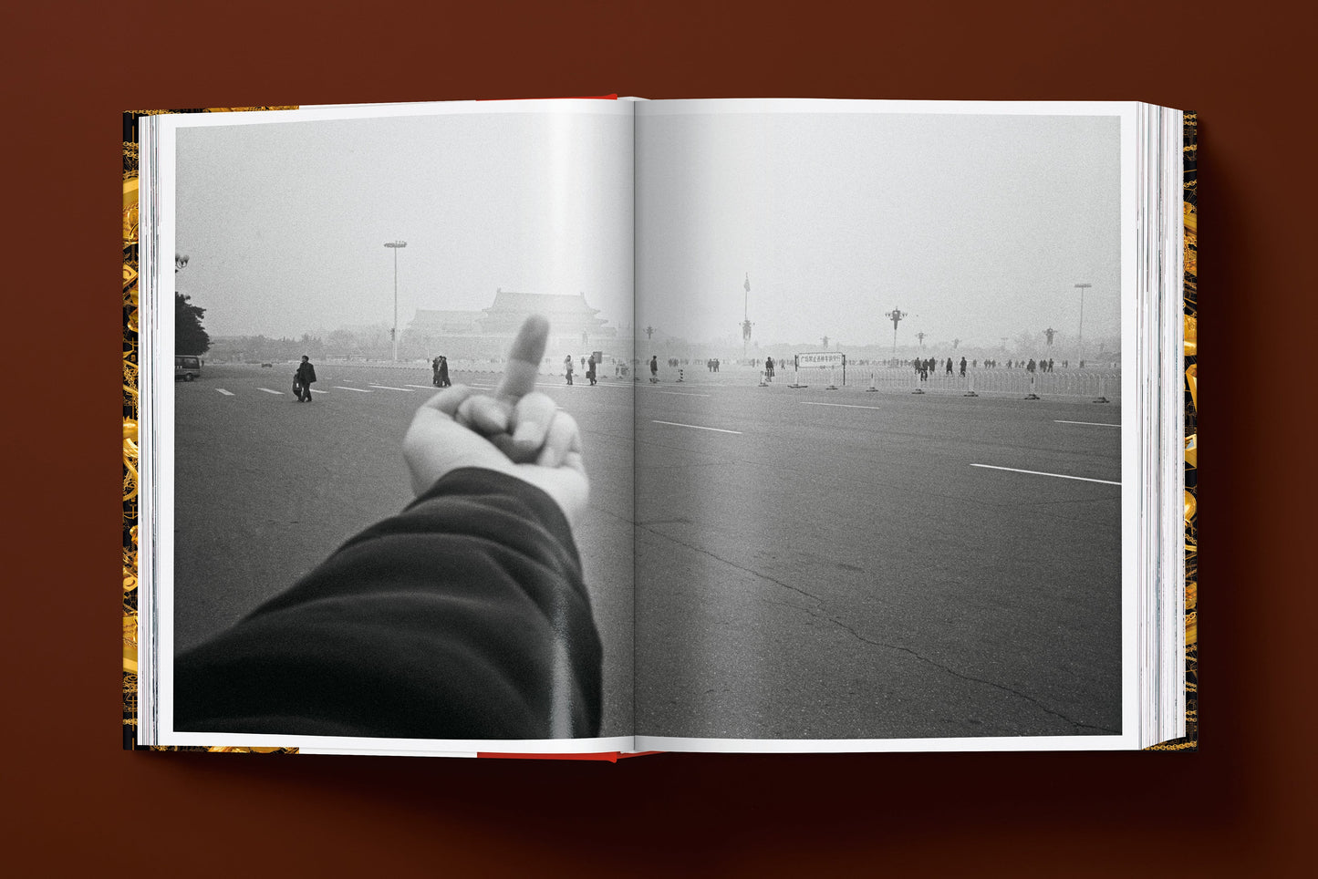 Ai Weiwei. Updated Edition (German, French, English) Book