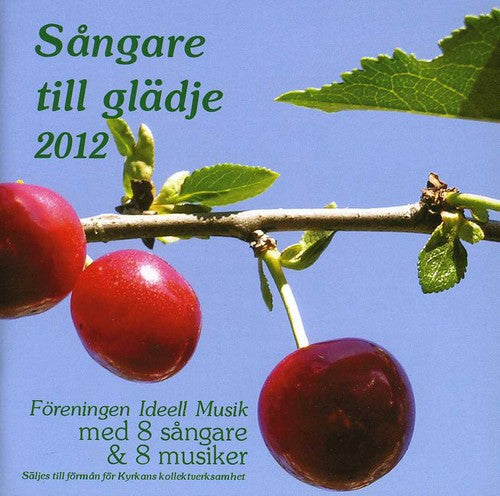 the album cover for Sangare Till Gladje 2013 / Various - Sangare Till Gladje 2013 / Various