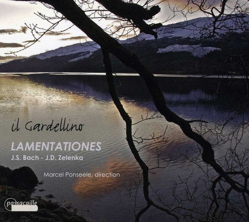 the album cover for Il Gardellino - Lamentationes [Digipak]