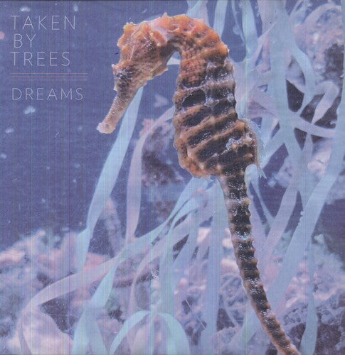 Dreams [12" Vinyl] Vinyl Record