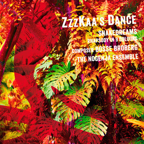 Broberg / Nogenja Ensemble - Zzzkaa's Dance - Music CD
