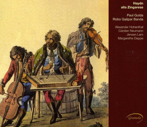 the album cover for Robo Gaspar Banda - Haydn Alla Zingarese [Digipak]