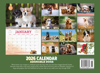 Adorable Dogs - 2026 Calendar:  A Year Of Four-Legged Friends, 12 Months Of Heartwarming & Joyful Dog Photography To Cherish All Year Long, Celebrate Our Furry Companions, Make Memories & More!