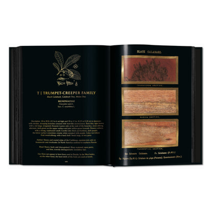 Romeyn B. Hough. The Woodbook. The Complete Plates (English) Book