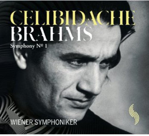 the album cover for Vienna Symphony Orchestra - Symphony No 1