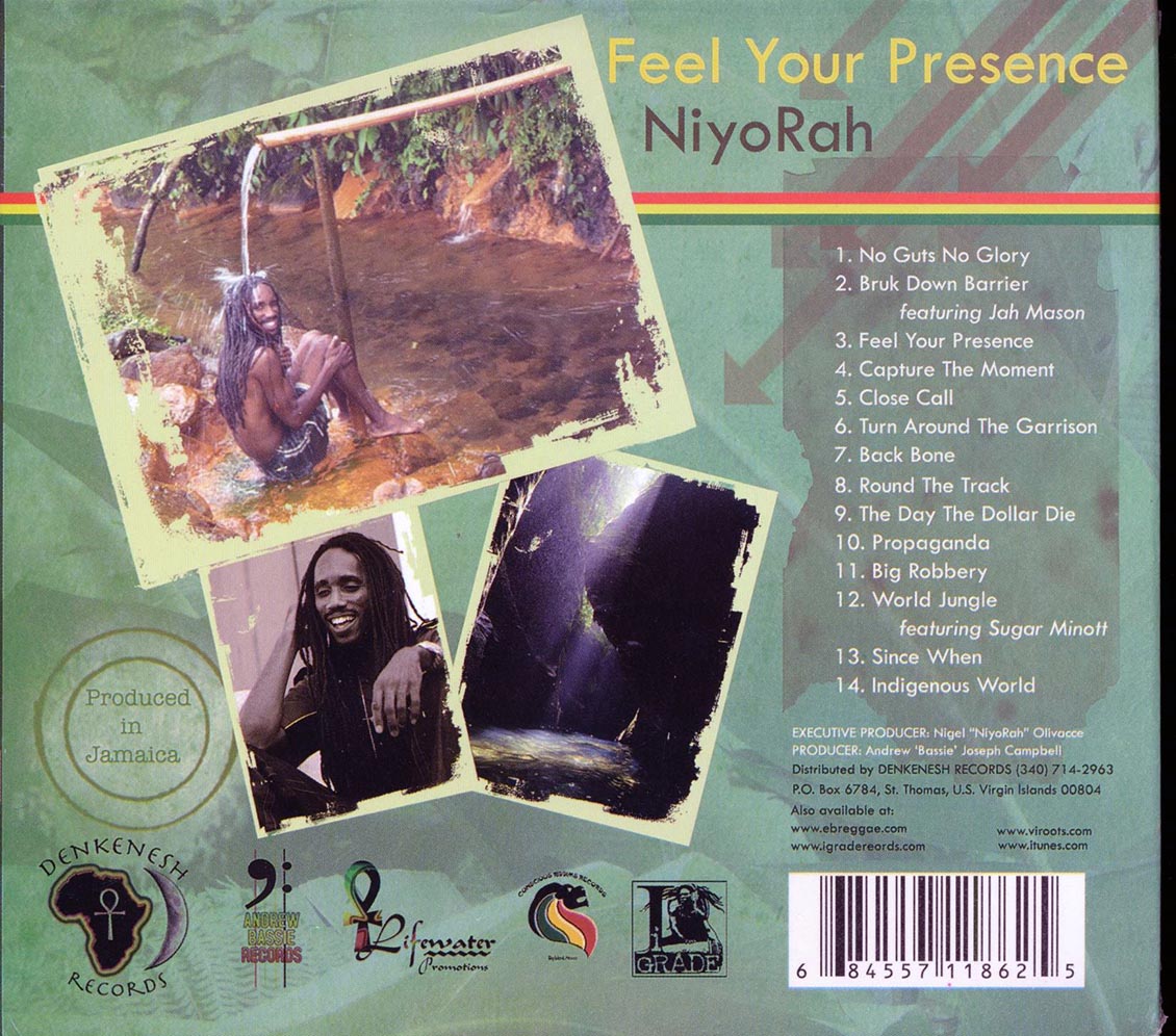 Niyorah - Feel Your Presence Music CD