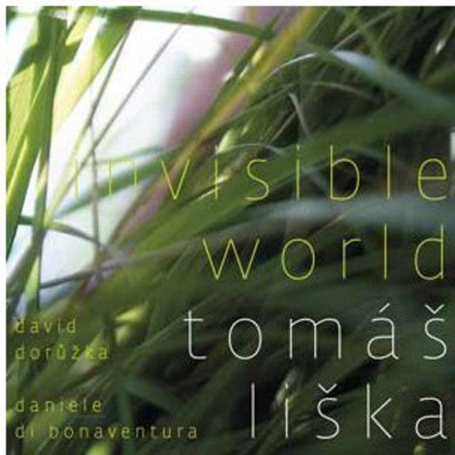 Doruzka / Liska,tomas - Invisible World - Music CD