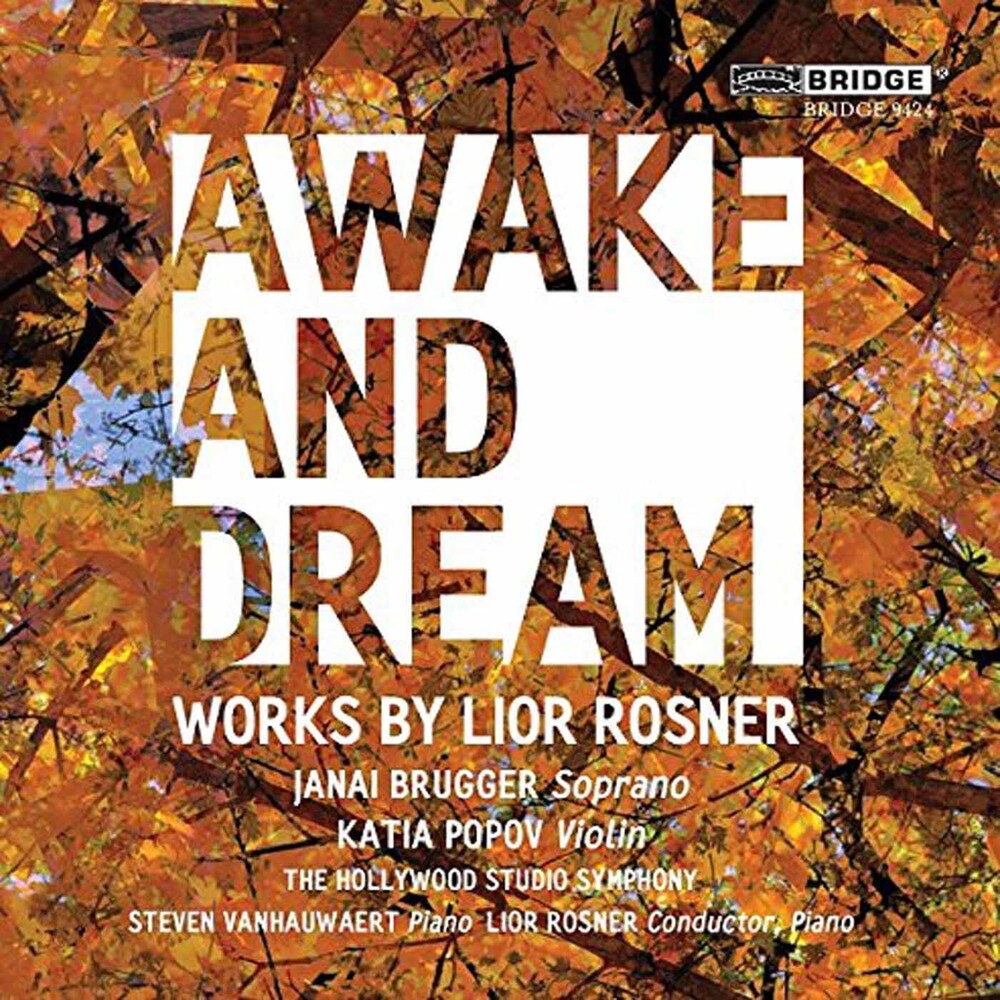the album cover for Rosner / Brugger / Rosner - Awake & Dream