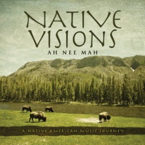 Native Visions: A Native American Music Journey Music CD