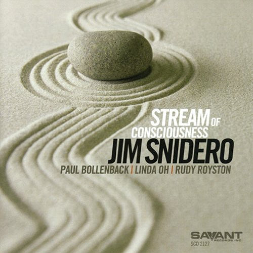the album cover for Jim Snidero - Stream of Consciousness