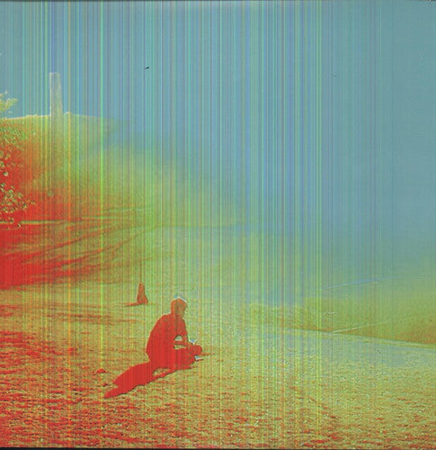 Flaming Lips - Terror - Vinyl Record