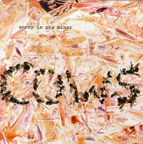 Cows - Sorry In Pig Minor - Music CD