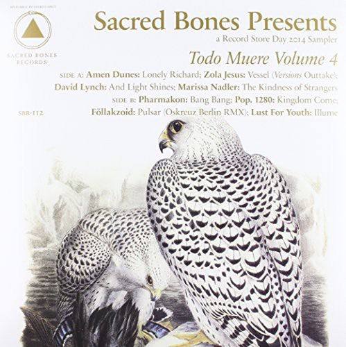 Todo Muere Vol 4 / Various - Todo Muere Vol 4 / Various - Vinyl Record
