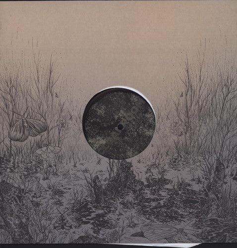 Infinity [Vinyl] Vinyl Record