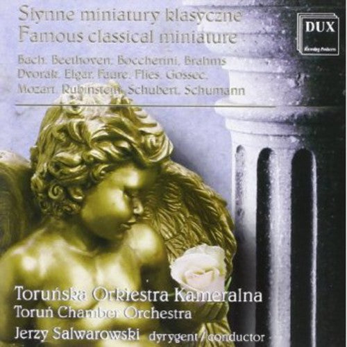 Bach / Schumann / Brahms / Schubert / Salwarowski - Famous Classical Miniatures - Music CD