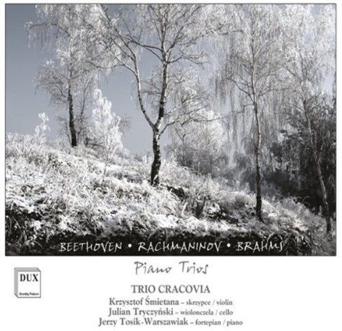 the album cover for Beethoven / Trio Cracovia - Piano Trios