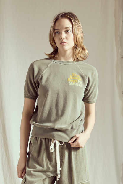 The Beach Boys Pet Sounds Womens Raglan Shirt Officially Licensed