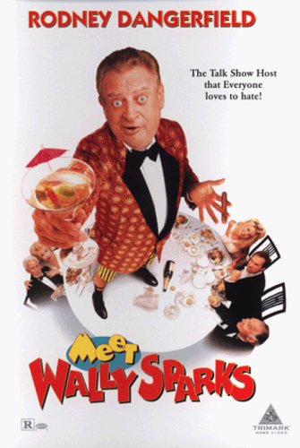 Meet Wally Sparks - Meet Wally Sparks - DVD