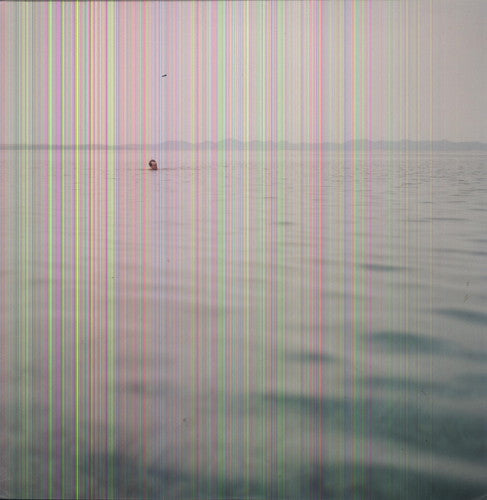 Swim [LP] Vinyl Record