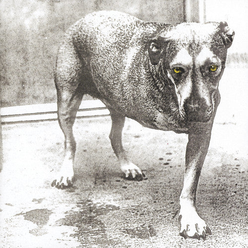 Alice in Chains - Alice in Chains Music CD