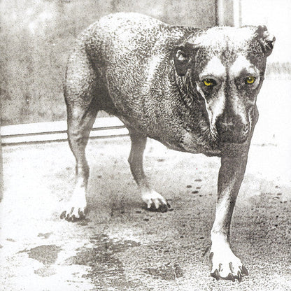 Alice in Chains - Alice in Chains Music CD