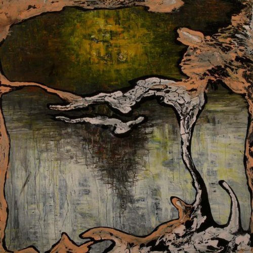 Julian Lynch - Terra [LP] Vinyl Record