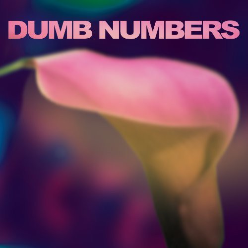 Dumb Numbers - Dumb Numbers [Vinyl] Vinyl Record