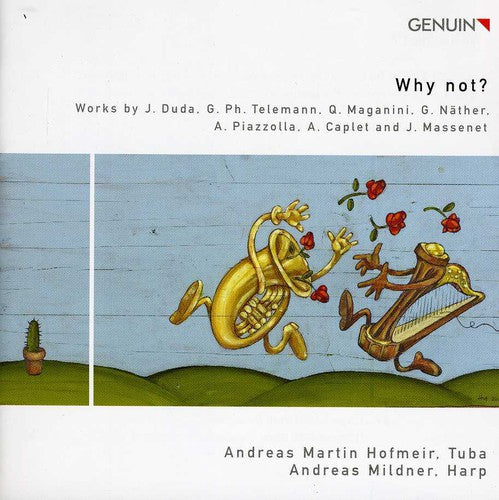 Duda / Telemann / Massenet / Hofmeir / Mildner - Why Not - Music CD