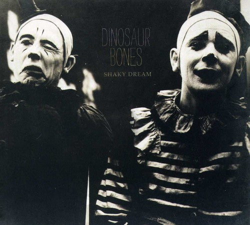 Dinosaur Bones - Shaky Dream - Music CD