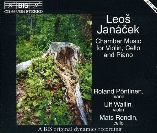 Janacek / Pontinen / Wallin / Rodin - Chamber Music & Piano Music - Music CD