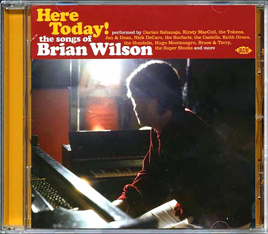 Various - Here Today! The Songs Of Brian Wilson (25 tracks) Music CD